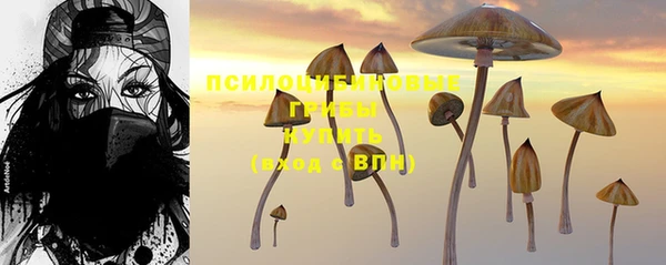 экстази Богородицк