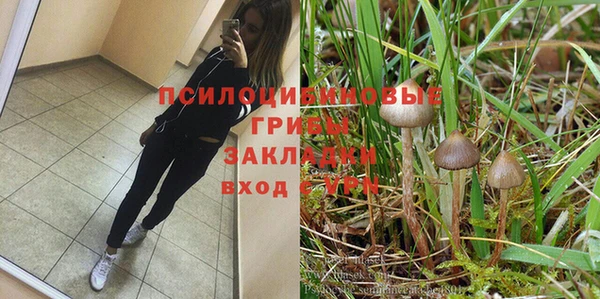 экстази Богородицк
